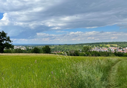 22-06-06 14-49-54 1072